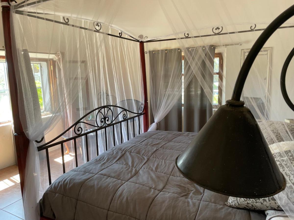Casa Wong Appartement Todos Santos Buitenkant foto